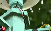 Học sinh tiểu học thiệt mạng do điện giật khi chơi ở công viên