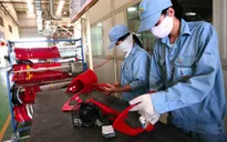 VCCI: Cần có sự gắn kết giữa khu vực kinh tế nội địa và khu vực FDI