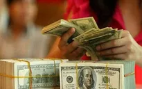 Thu hút vốn FDI năm 2016 kỳ vọng vượt kỷ lục năm 2015