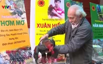 Xúc tiến tiêu thụ nông sản Tết đã được bảo hộ nhãn hiệu