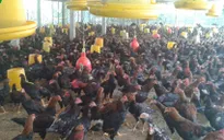 Đàn gà ta đầu tiên của vùng ĐBSCL được công nhận VietGap
