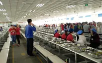 Vụ thức ăn có dòi tại KCN: Công nhân đã trở lại làm việc