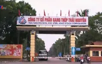 Thủ tướng yêu cầu đánh giá toàn diện Dự án Gang thép Thái Nguyên