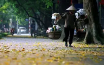 Bán hàng rong phải cam kết an toàn thực phẩm