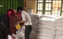 Gạo Chính phủ đến với học sinh vùng cao Quảng Trị