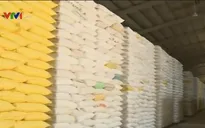 Sản lượng gạo xuất khẩu tăng gần 66%