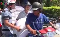 TT-Huế: Gần 800 tấn gạo hỗ trợ người dân sau sự cố môi trường