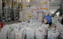 Năm 2020, 20% lượng gạo xuất khẩu mang thương hiệu “Gạo Việt Nam”