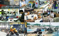 Kinh tế Việt Nam vẫn giữ nền tảng vững chắc năm 2017