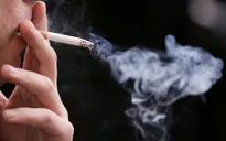 Pháp chỉ cho phép bán thuốc lá không có nhận diện thương hiệu