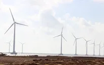 Khánh thành nhà máy điện gió Bạc Liêu
