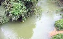 Bình Thuận: Lật ghe chở người đi đám cưới, 2 người thiệt mạng