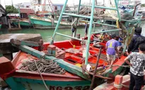 Gian nan tìm lao động đi biển, ngư dân bị lừa tiền