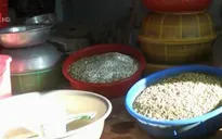Bình Thuận phát hiện 2 cơ sở sản xuất giá bằng thạch cao và hóa chất