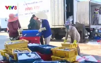 Thiếu minh bạch trong thị trường hải sản