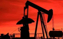 Giá dầu giảm sau thỏa thuận giữ sản lượng giữa 3 nước OPEC và Nga