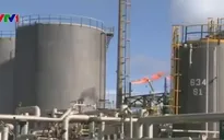 Saudi Arabia dự kiến tăng sản lượng khai thác vì giá dầu tăng