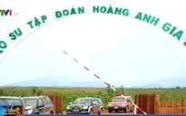 10 ngân hàng chủ nợ thống nhất tái cơ cấu nợ cho Hoàng Anh Gia Lai
