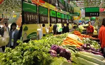 Giá lương thực thế giới giảm mạnh nhất trong 7 năm