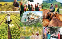 Đến 2020, giảm tỷ lệ hộ nghèo từ 1-1,5%/năm