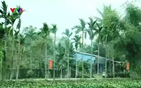 Đổi thay tích cực trong đời sống đồng bào Công giáo Đà Nẵng