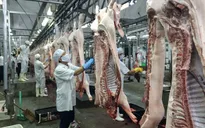TP.HCM quy hoạch các khu giết mổ tập trung: Dấu chấm hết cho các cơ sở nhỏ lẻ