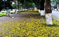 Miền Bắc đón không khí lạnh giữa tháng 5