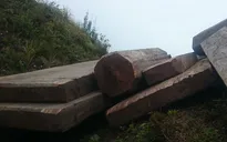 Dân địa phương chở gỗ lậu, rừng giáp ranh Phú Thọ - Yên Bái "chảy máu" hàng ngày