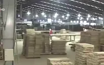 Quảng Trị: Hàng nghìn lao động có việc làm nhờ công nghiệp chế biến gỗ