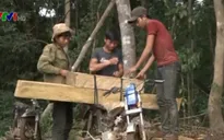 Thủ tướng yêu cầu làm rõ vụ phá rừng ở Kon Tum