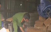 Bắt giữ vụ phá rừng quy mô rất lớn tại đập Thủy điện Đồng Nai 5