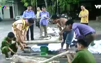 Bắc Giang: Bắt giữ gần 600kg gỗ sưa đỏ vận chuyển trái phép