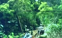 Lâm Đồng tăng cường truy bắt trùm lâm tặc “Hà đen”