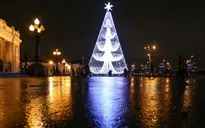 Chiêm ngưỡng những cây thông Noel độc đáo và lạ mắt