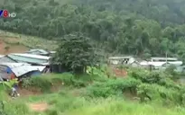 Bắt giam thêm 11 đối tượng trong vụ phá rừng thủy điện Đồng Nai 5