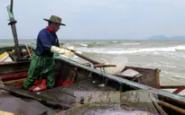 Hà Tĩnh thống kê các hộ dân bị ảnh hưởng bởi sự cố môi trường