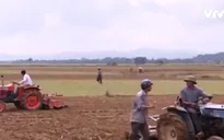 Hà Tĩnh gấp rút khôi phục sản xuất sau lũ