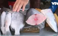 Vũng Tàu: Đa số mẫu thử hải sản đều chứa formol, hàn the