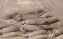 Bé gái sốc phản vệ độ 3 sau khi ăn mực