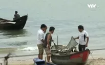 Sự cố môi trường do Formosa: Sẽ truy cứu trách nhiệm cá nhân chặt chẽ