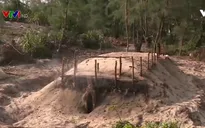 Phá rừng phòng hộ, đốt... lấy than