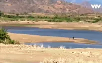 Hội thảo sáng kiến thích ứng với biến đổi khí hậu dựa vào cộng đồng