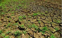Hạn hán giữa mùa mưa ở miền Trung