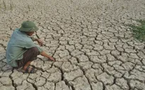 Kiên Giang lần đầu công bố thiên tai