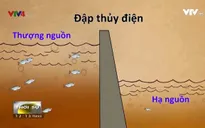 Nguyên nhân nào khiến dòng sông Mekong suy thoái?
