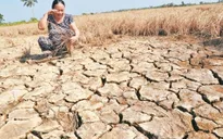 Nghèo trên đất "vàng" - Khi lòng tham giết chết nông nghiệp