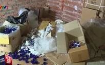 Yêu cầu điều tra làm rõ 6 kho hàng thực phẩm chức năng nghi là giả