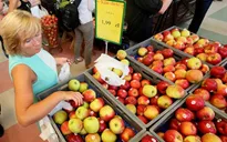 Ukraine sẽ kiện Nga lên WTO