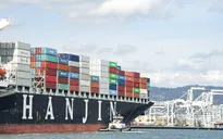 Vụ hãng tàu Hanjin phá sản: Bộ GTVT vào cuộc giúp doanh nghiệp