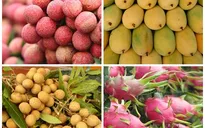 Xuất khẩu rau quả Việt Nam lên ngôi